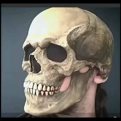 Lifelike 3D skull mask with movable jaw, perfect for Halloween costumes and cosplay events