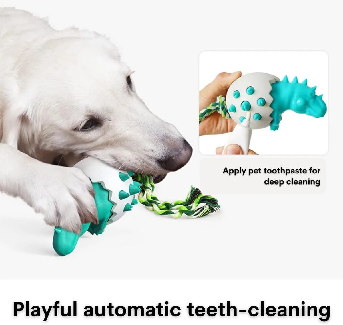 Blue dinosaur-shaped dog chew toy with rope attached, showing textured surface with nubs and grooves