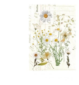 Herbarium Series DIY Plant Stickers pack featuring vibrant plant designs for creative projects