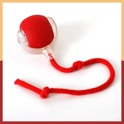 Silicone rolling ball cat toy showing red, green, and grey colour options with self-hi motion mechanism