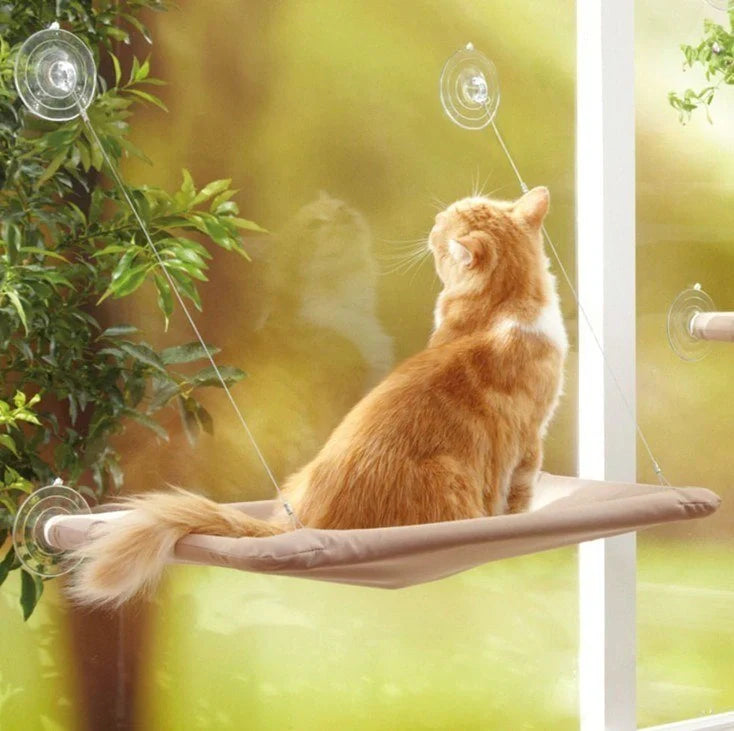 Window-mounted cat hammock with sturdy cloth cover, perfect for sunny spots