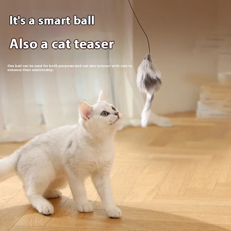 Automatic cat teasing ball with plush mouse for interactive pet play
