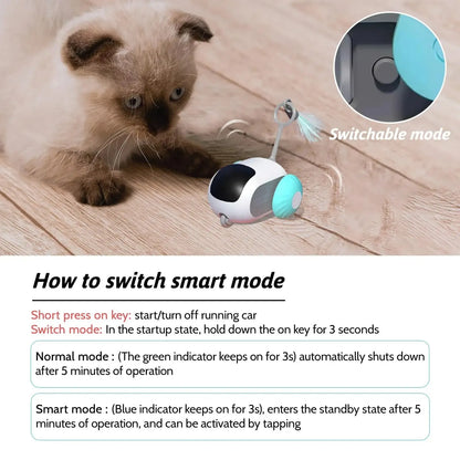 Blue remote control cat toy car with feather teaser on plastic chassis showing USB charging port