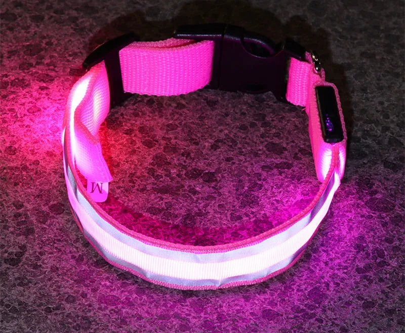 LED luminous dog collar with nylon webbing in multiple colour options showing illumination
