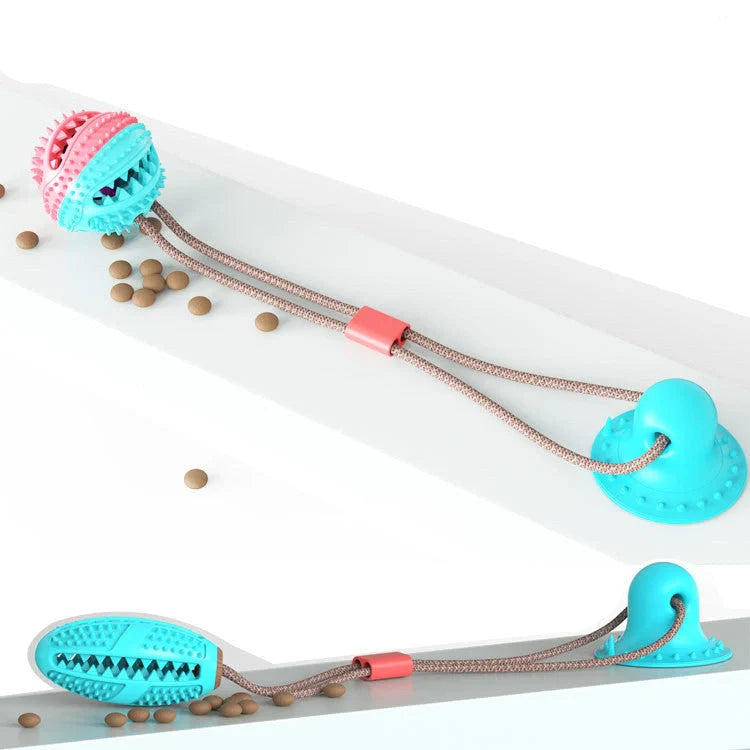 Durable suction cup molar toy for dogs, promoting dental health through chewing
