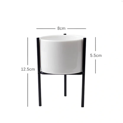 Black iron frame with white ceramic succulent flowerpot in 12.5cm and 16.5cm diameter sizes