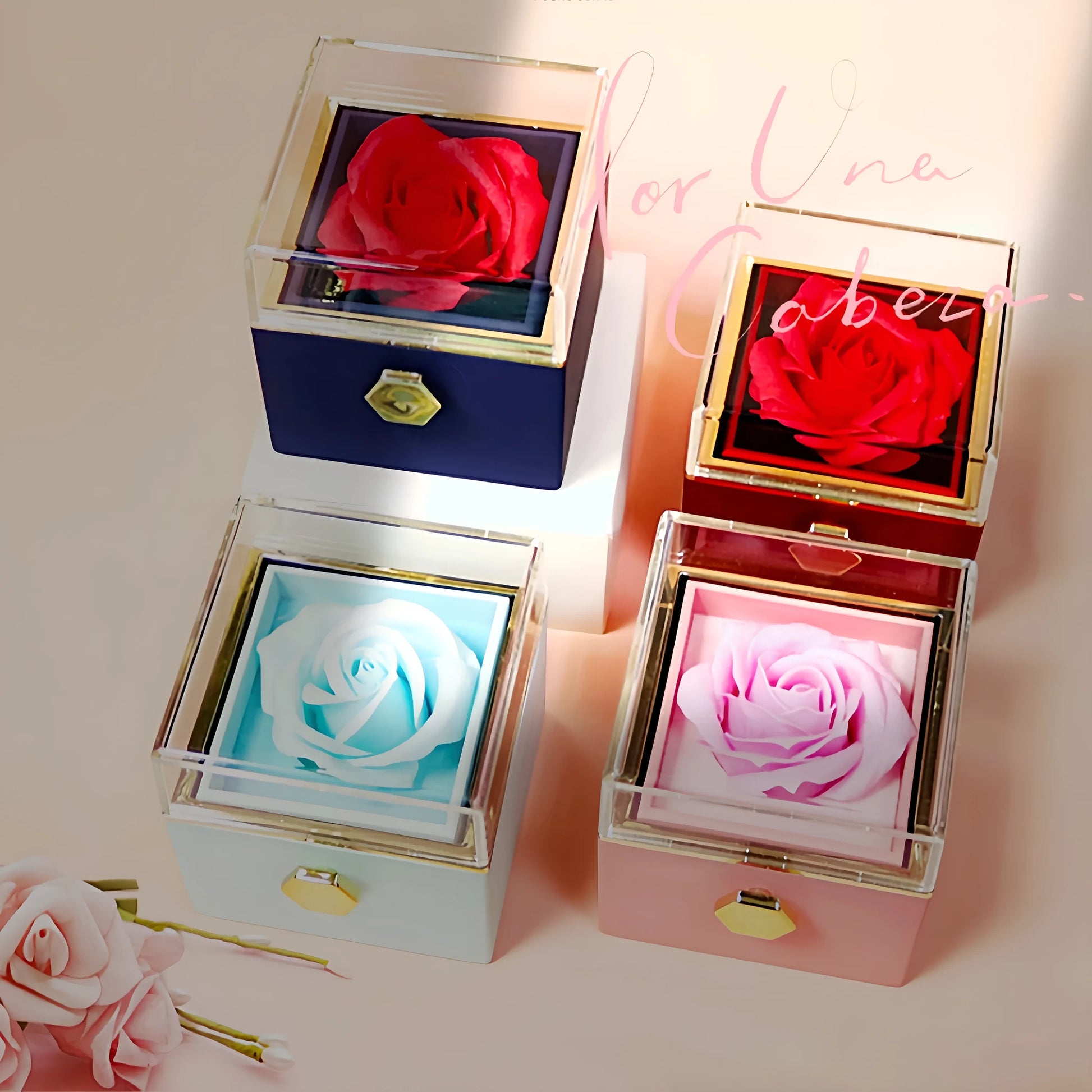 Rotating rose jewellery gift box with a preserved red rose under a clear acrylic dome, showing the interior rotating drawer.
