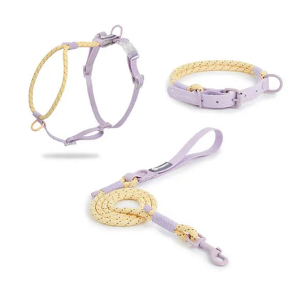 Solid colour PVC dog hand holding rope leash in dark red purple yellow showing collar attachment.