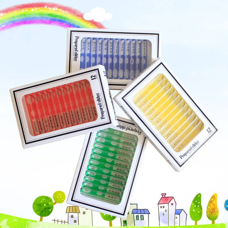 Four colour-coded boxes containing plastic microscope slides with plant rhizome and animal specimen samples for children