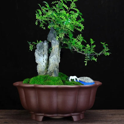 Large purple sand ceramic diamond flower pot for indoor bonsai and living room display