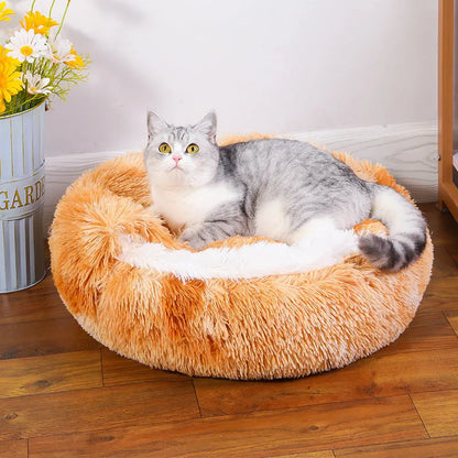 Waterproof cloth dog kennel with semi-enclosed design and removable cover in a gradient colour