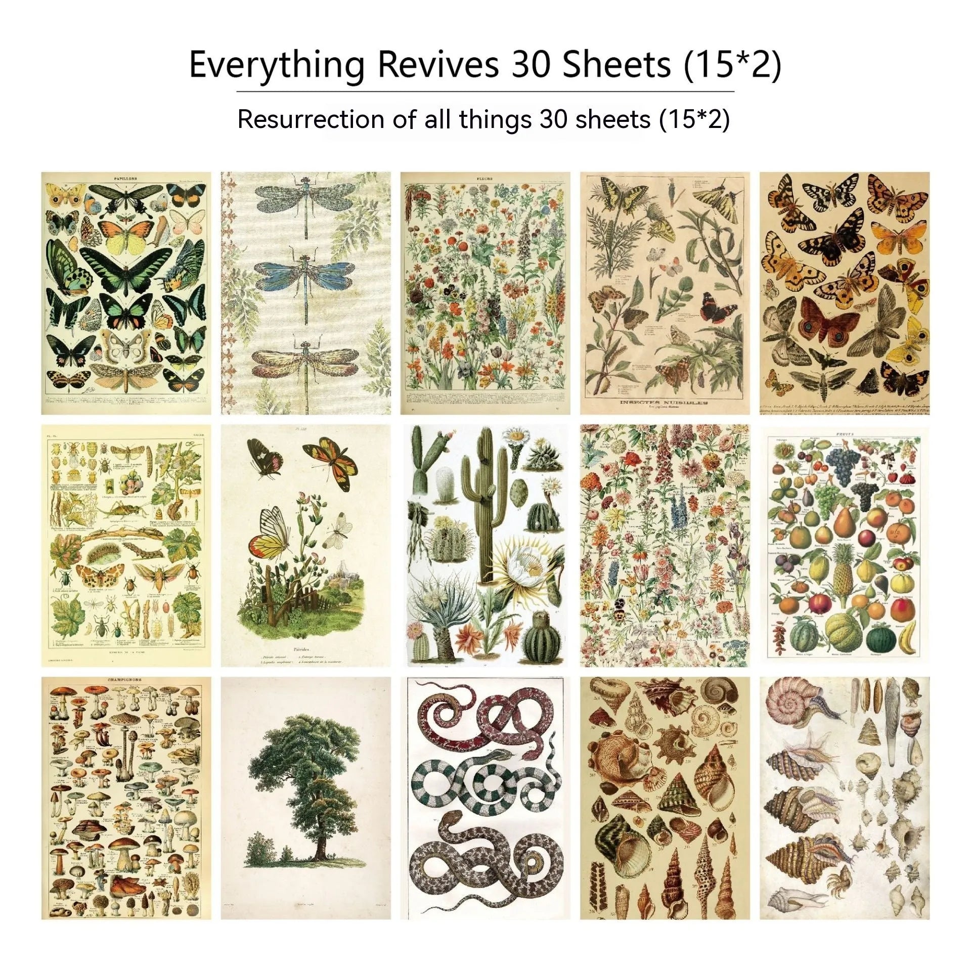 30 piece retro scrapbook paper set with botanical, flower, letter, recovery, starry night, and music prints