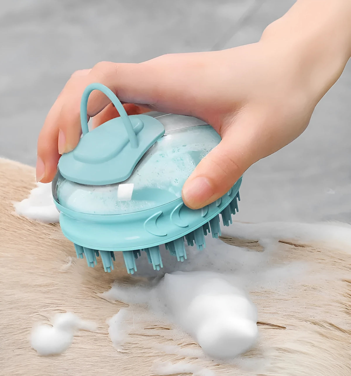 Blue and green pet bath brushes with soft TPR bristles and plastic handles for dog grooming