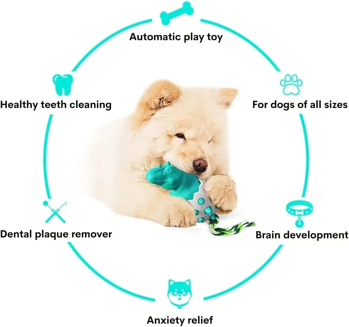 Blue dinosaur-shaped dog chew toy with rope attached, showing textured surface with nubs and grooves