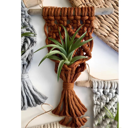 Hand-woven cotton macrame plant hanger with 15cm wooden basket displaying air plant