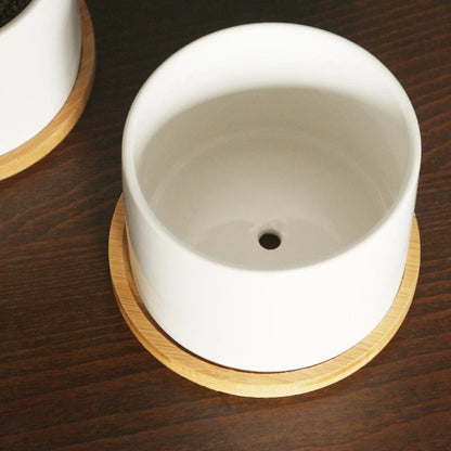 White ceramic flower pot with bamboo tray support for succulents and green plants