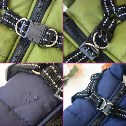 Red waterproof dog coat with built-in harness on a large dog, showing warm lining and sizing for winter.