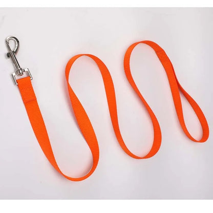 Solid colour polyester dog leash rope in hand, showing various width and colour options.