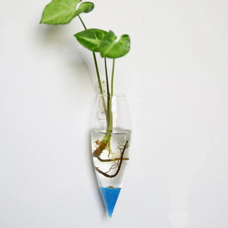 Wall-mounted glass flower vase and terrarium with various design options for customization and decoration