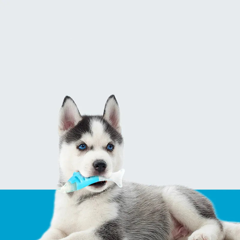 Two PU nylon dog chew toys: one seahorse shape and one tuna shape, on a white background.