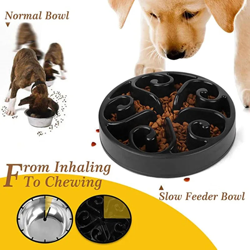 Coloured plastic dog slow feeder bowl showing internal maze pattern and ridges, with wide non-slip base