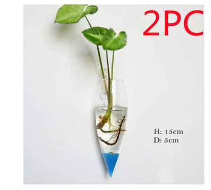 Wall-mounted glass flower vase and terrarium with various design options for customization and decoration