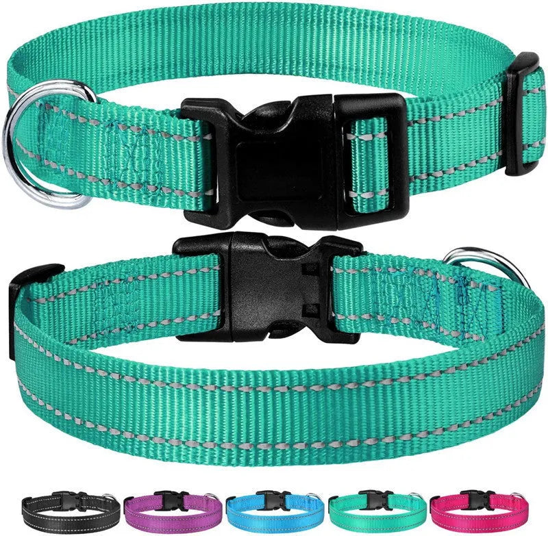 Nylon adjustable dog collar with chest strap in multiple colour options on a white background