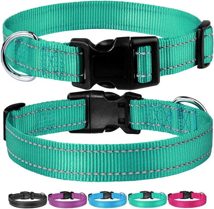 Nylon adjustable dog collar with chest strap in multiple colour options on a white background