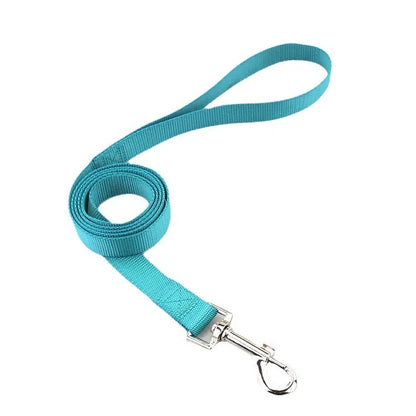 Solid colour polyester dog leash rope in hand, showing various width and colour options.