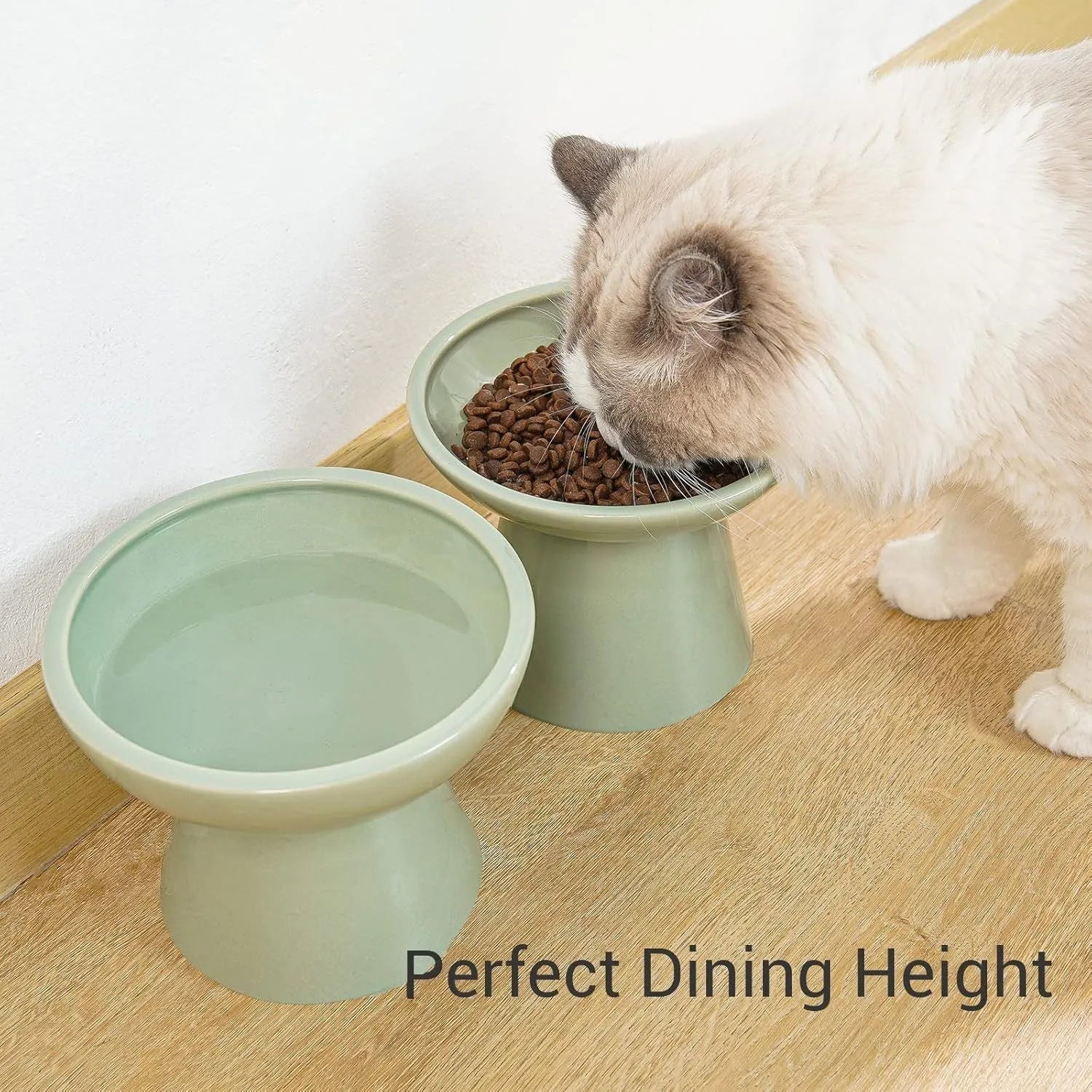 16cm extra wide elevated lead-free ceramic cat bowl for food and water