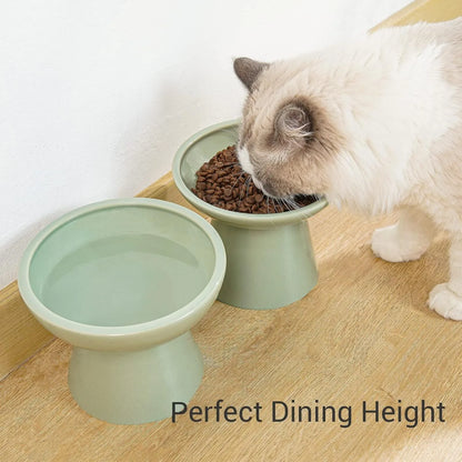 16cm extra wide elevated lead-free ceramic cat bowl for food and water