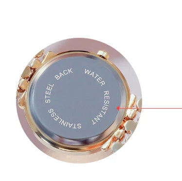 Elegant stainless steel watch with electroplating finish, quartz movement, and mineral tempered glass mirror