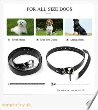 2 In 1 Safe Wireless Dog Fence - Versatile and secure pet containment system for indoor and outdoor use
