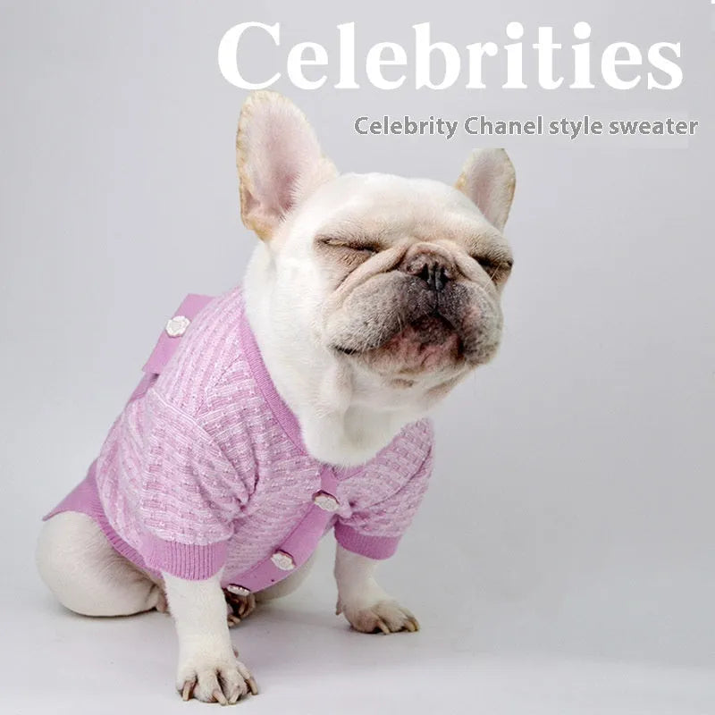 Miniature schnauzer wearing classic-style wool blend winter coat with ribbed knit trim