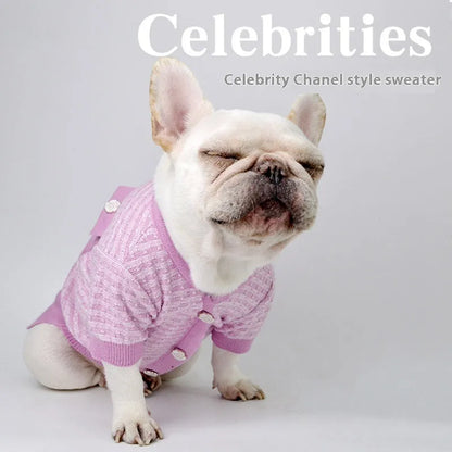 Miniature schnauzer wearing classic-style wool blend winter coat with ribbed knit trim