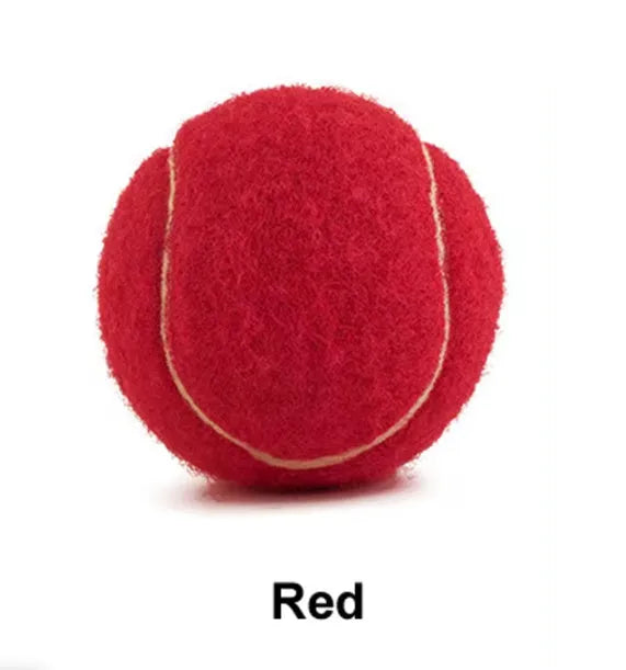 Rubber bite-resistant dog tennis ball in assorted bright colours, 6.3cm diameter.