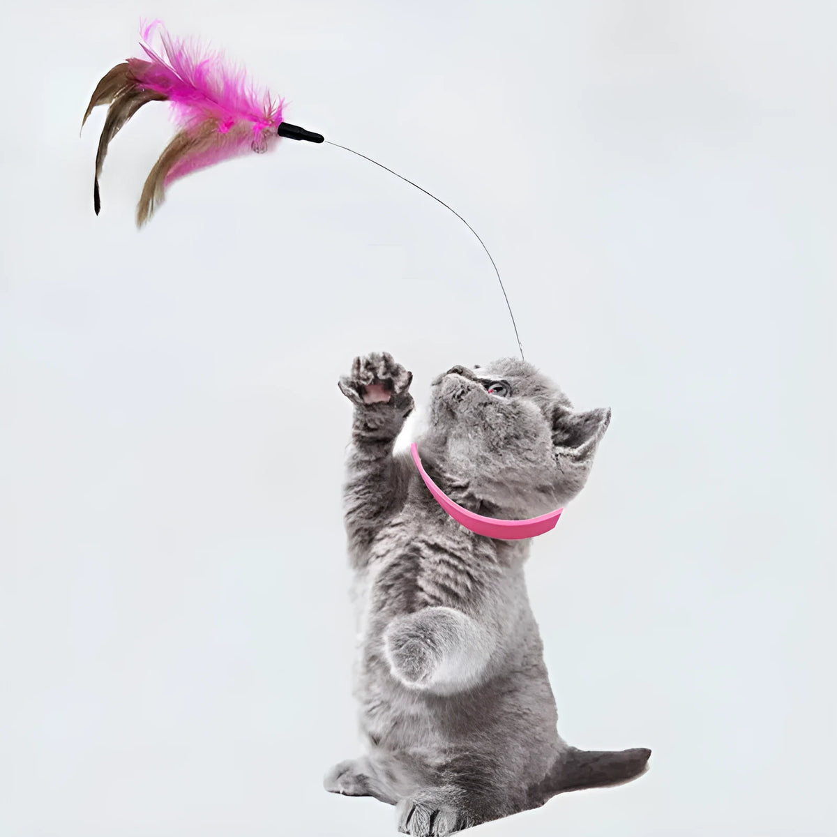 Adjustable cat feather collar toy with silicone teasing wand attached and bell in blue colour