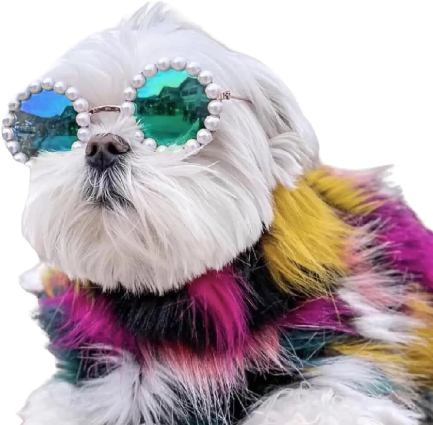 Pearl-trimmed round sunglasses for cats and dogs in five colour options