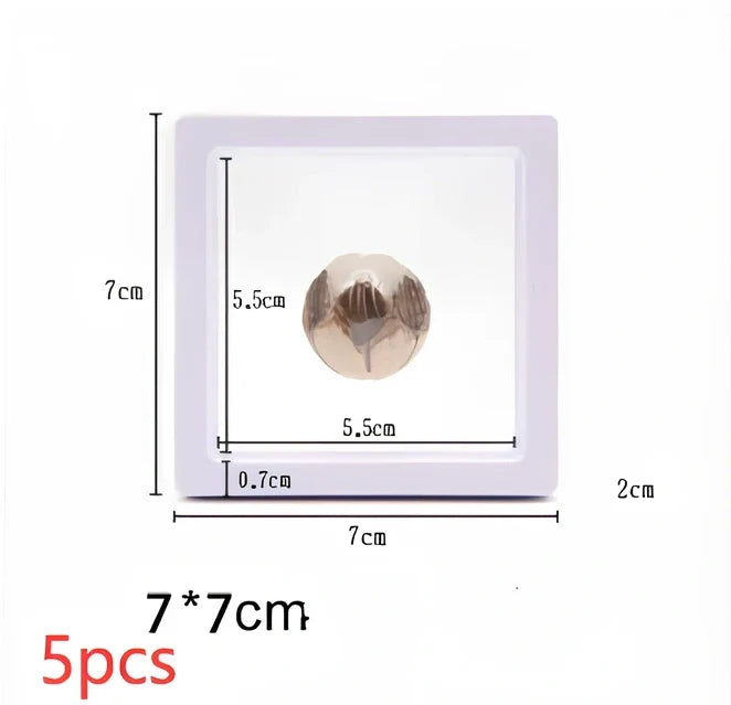 Black 11x11cm suspended 3D floating display frame holding a coin, with square base for stable collectible showcase