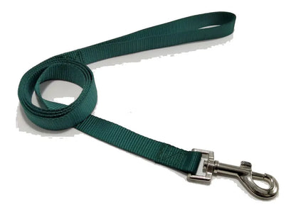 Solid colour polyester dog leash rope in hand, showing various width and colour options.
