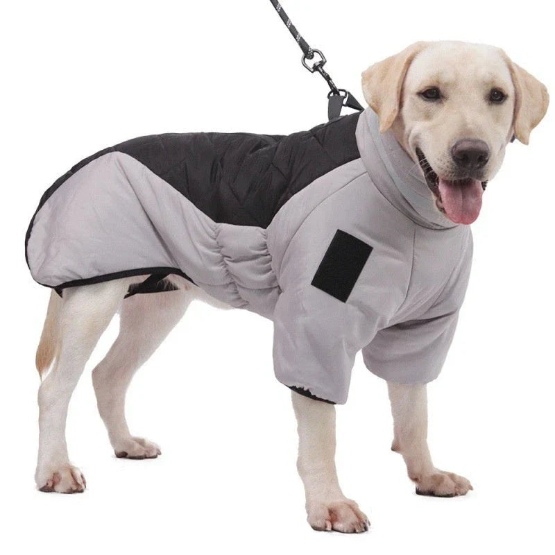 Waterproof winter dog coat in various colors and sizes for medium to large dogs
