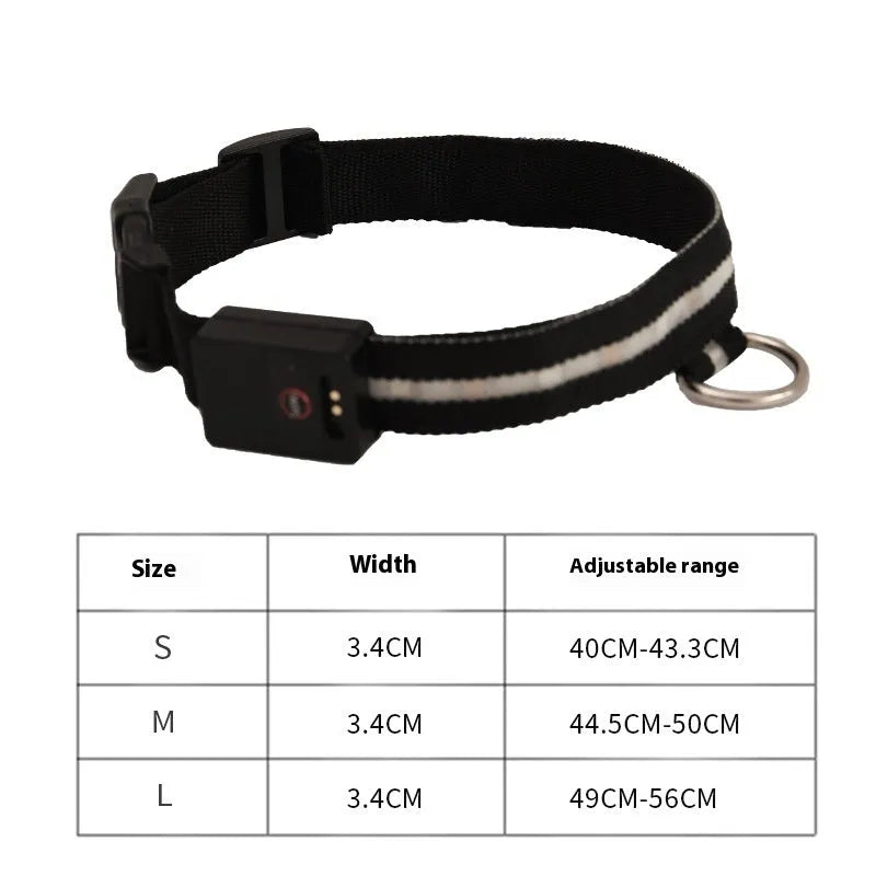 Black LED luminous dog collar and leash set for night-time walking safety