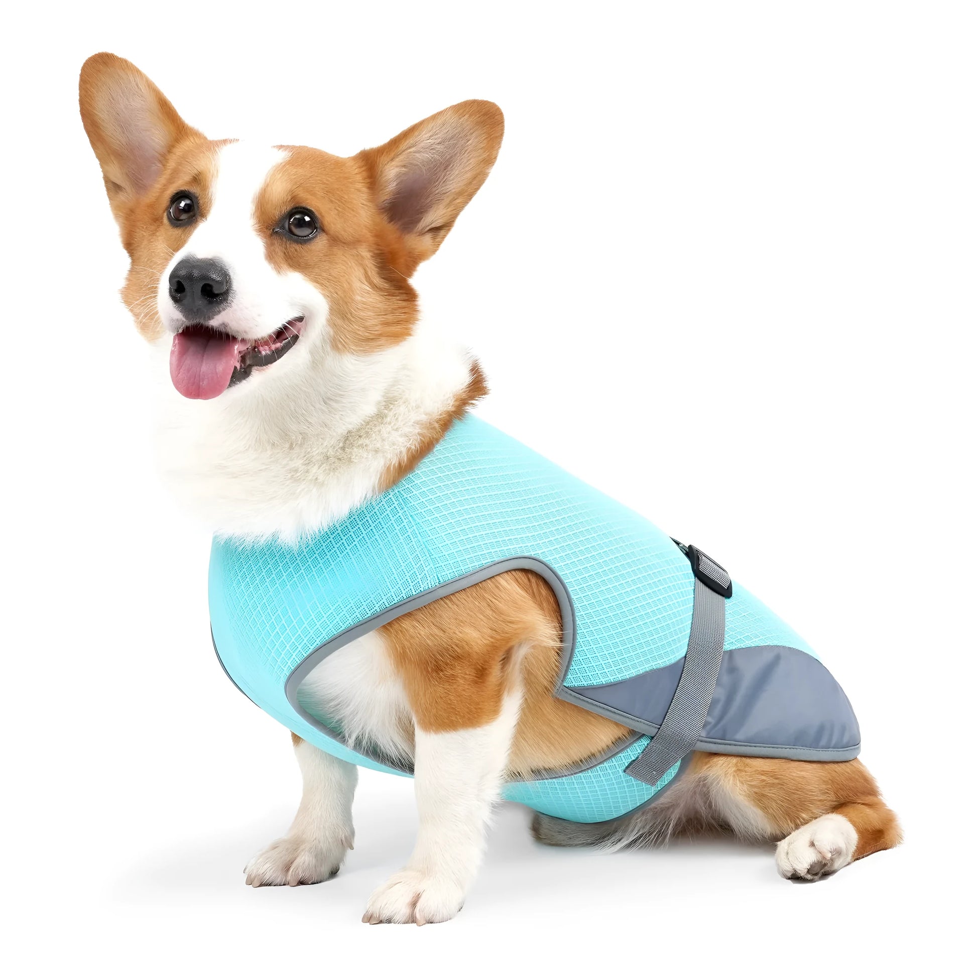 Lightweight polyester mesh dog cooling vest for summer heatstroke prevention on a dog