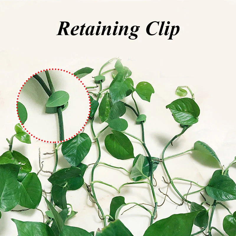 Decorative plant wall clips made of eco-friendly ABS resin in a leaf shape, providing an easy solution for supporting climbing indoor and outdoor plants