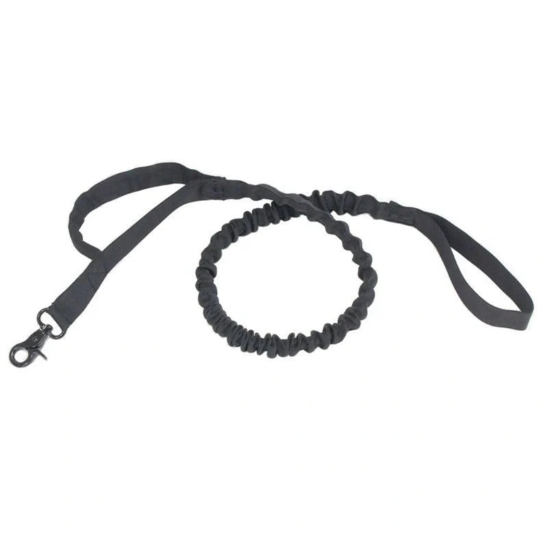 Retractable outdoor dog lead with elastic buffer for safe and comfortable walks