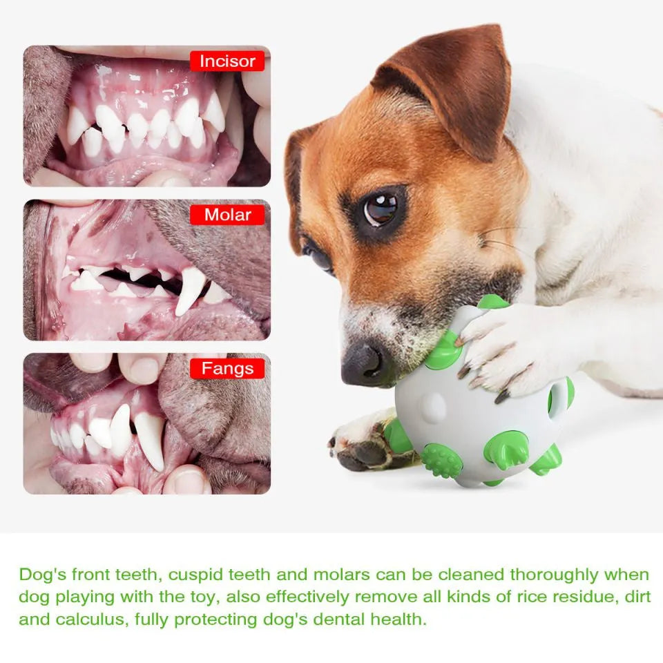 Blue green yellow dog chew ball with textured cleaning bumps and hollow treat-dispensing centre.
