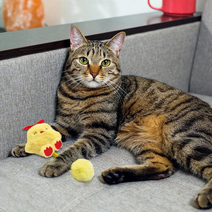 Interactive cat toys with silvervine fruit, spring, fuzzy ball and plush animal designs for kittens