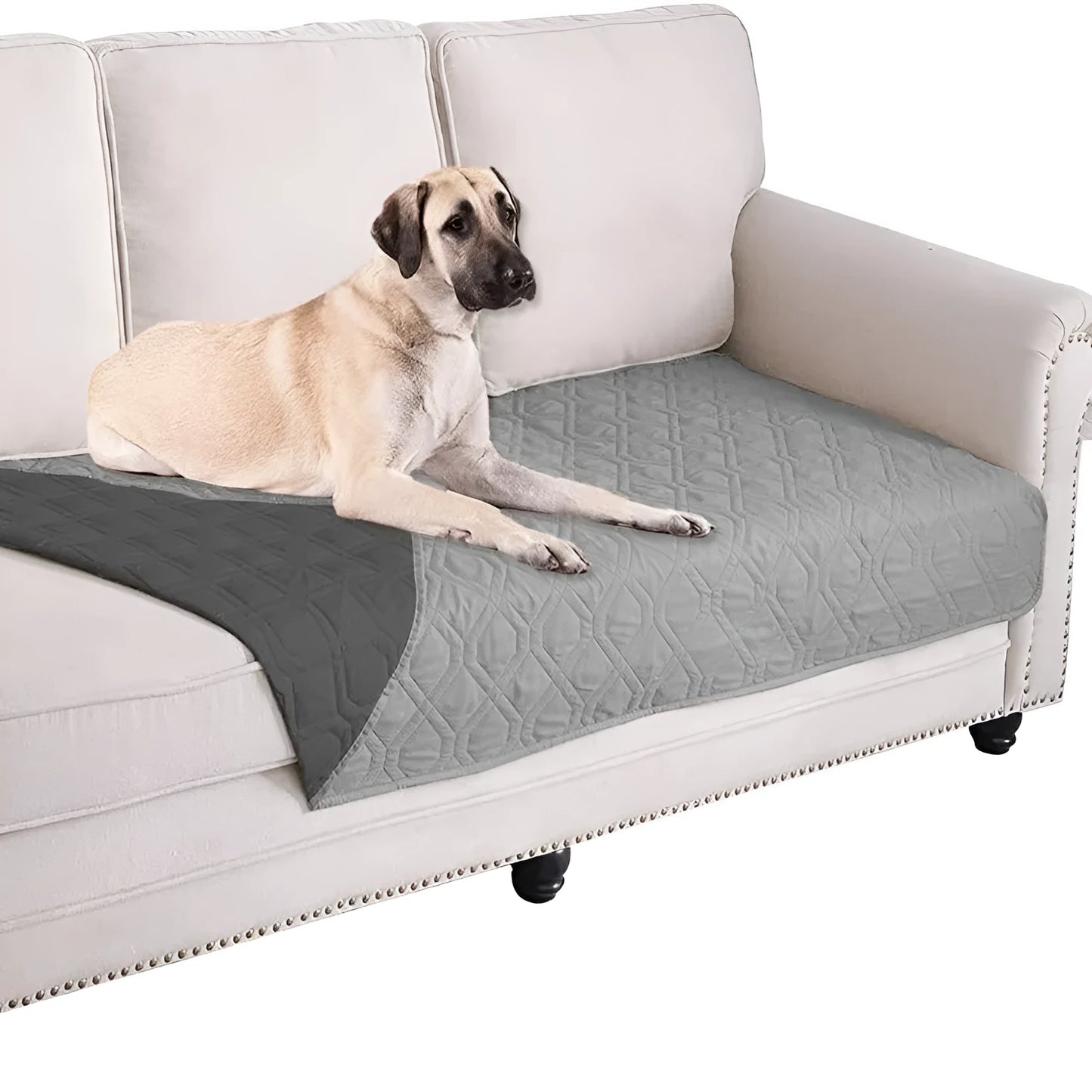 Reversible dog blanket sofa cover in assorted colours protecting furniture