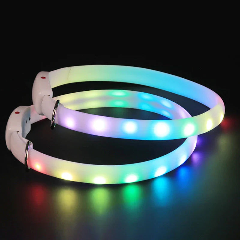 Bright LED pet collar with adjustable design for safe nighttime dog walking
