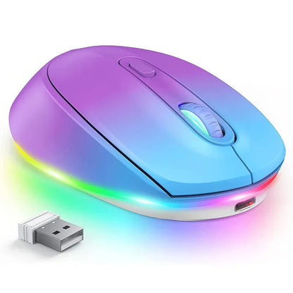 24g wireless ergonomic mouse with USB receiver and charging cable